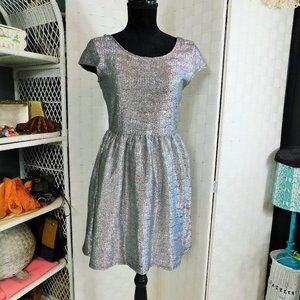 Silver Metallic Dress Short Sleeve Dress